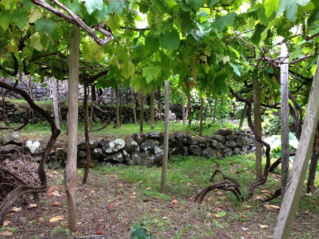 Holidays Madeira São Vicente エクステリア 写真